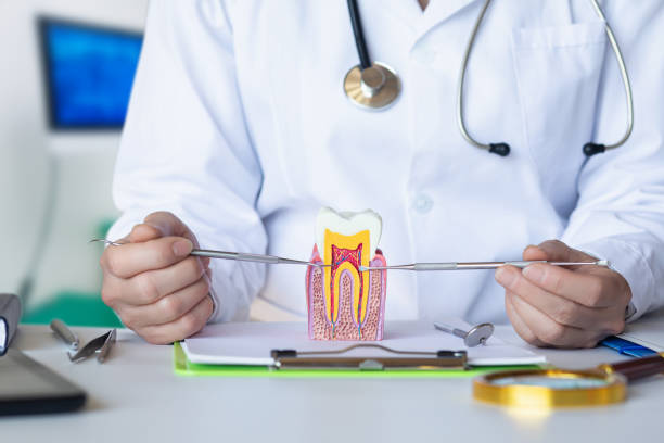 Urgent Tooth Repair in WY